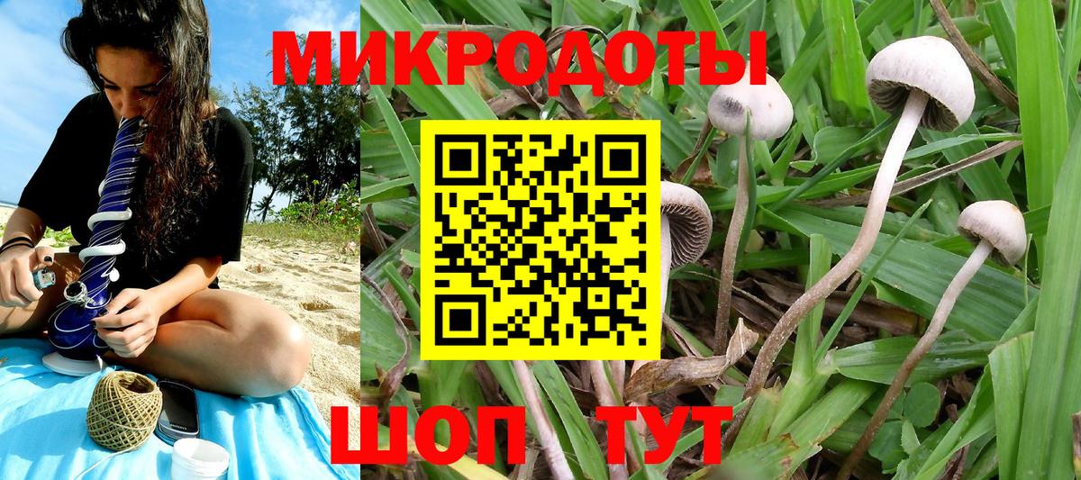 Псилоцибиновые грибы GOLDEN TEACHER  Вход с VPN  Сланцы  Галлюциногенные грибы Psilocybe 