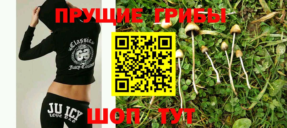 Галлюциногенные грибы прущие грибы Сланцы